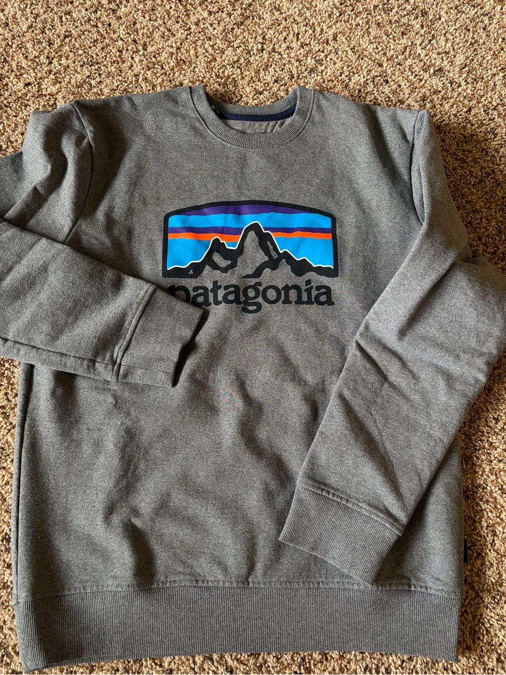 Patagonia Gray Crewneck Sweatshirt with Colorful Mountain Logo
